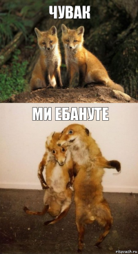 чувак ми ебануте