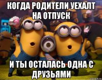 когда родители уехалт на отпуск и ты осталась одна с друзьями