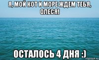 я, мой кот и море ждем тебя, олеся! осталось 4 дня :)