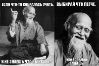 Если что-то собралась учить. И не знаешь что выбрать? Выбирай что легче. Ибо все равно забьешь..