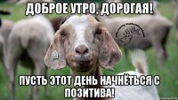 доброе утро, дорогая! пусть этот день начнёться с позитива!