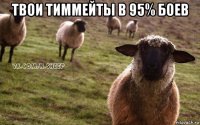 твои тиммейты в 95% боев 