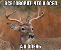 все говорят, что я осел а я олень