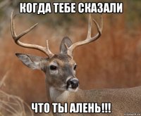 когда тебе сказали что ты алень!!!