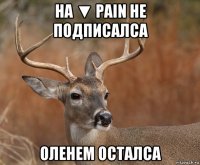 на ▼ pain не подписалса оленем осталса