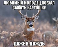 любимый мoлoдец,пoехал сажать карtoшку даже в дoждь