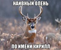 наивный олень по имени кирилл