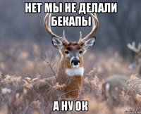 нет мы не делали бекапы а ну ок