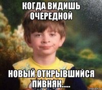 когда видишь очередной новый открывшийся пивняк.....