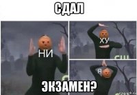 сдал экзамен?