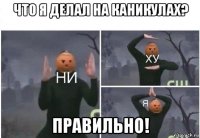 что я делал на каникулах? правильно!