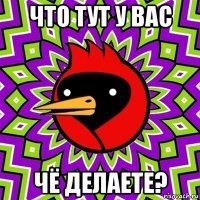 что тут у вас чё делаете?