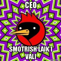 ceo smotrish laik i vali