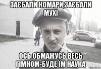 заєбали комари,заєбали мухі ось обмажусь весь гімном-буде їм наука