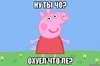 ну ты чо? охуел что ле?