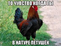 то чувство когда ты в натуре петушёк