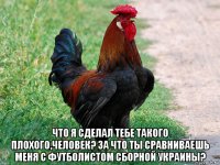  что я сделал тебе такого плохого,человек? за что ты сравниваешь меня с футболистом сборной украины?