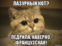 лазурный кот? педрила, наверно, французская!