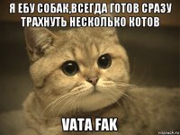 я ебу собак,всегда готов сразу трахнуть несколько котов vata fak