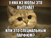 у них из жопы это вытекает или это специальный парфюм?