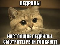 педрилы настоящие педрилы. смотрите! речи толкают!