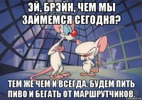 эй, брэйн, чем мы займемся сегодня? тем же чем и всегда. будем пить пиво и бегать от маршрутчиков.