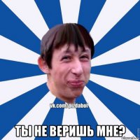  ты не веришь мне?