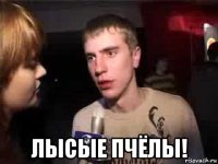  лысые пчёлы!