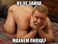 ну че зайка махнем пивка?