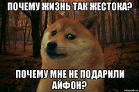 почему жизнь так жестока? почему мне не подарили айфон?