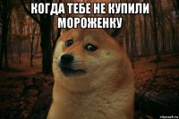 когда тебе не купили мороженку 