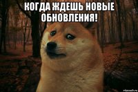 когда ждешь новые обновления! 