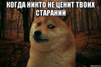 когда никто не ценит твоих стараний 