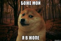 боже мой я в жопе