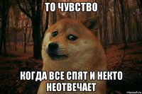 то чувство когда все спят и некто неотвечает