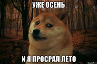 уже осень и я просрал лето