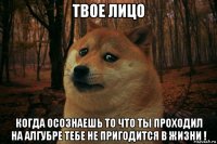 твое лицо когда осознаешь то что ты проходил на алгубре тебе не пригодится в жизни !