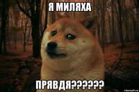 я миляха прявдя??????