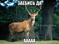 заебись да ааааа