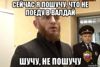 сейчас я пошучу, что не поеду в валдай шучу, не пошучу