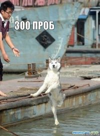 300 проб 