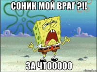 соник мой враг ?!! за чтооооо