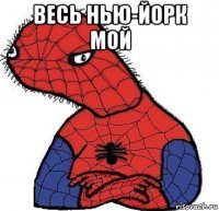 весь нью-йорк мой 