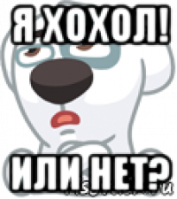 я хохол! или нет?