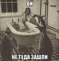 ой не туда зашли