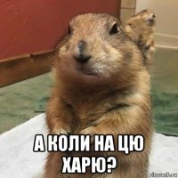  а коли на цю харю?