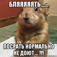 бляяяяять...... посрать нормально не доют.... !!!