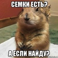 семки есть? а если найду?