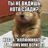 ты не видишь кота сзади? нет? а "иллюминаты" да, кому мне верить?