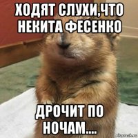 ходят слухи,что некита фесенко дрочит по ночам....